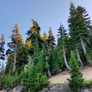 Meet your Posher, Chelsea